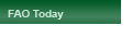 FAO Today