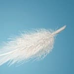 feather