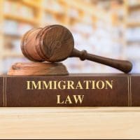 Immigration Laws