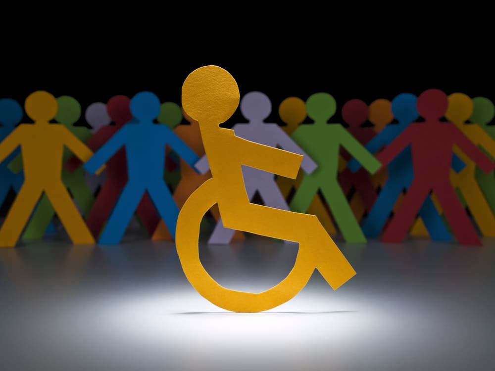 Disability Inclusion